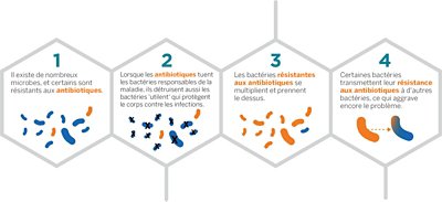 how-antibiotic-resistance-happens_FR