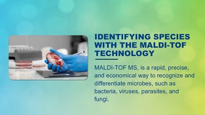 MALDI-TOF technology in species-level identification