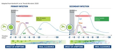 Dengue_Monograph_v10.0.indd