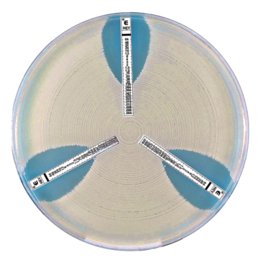 Meropenem/vaborbactam Strips