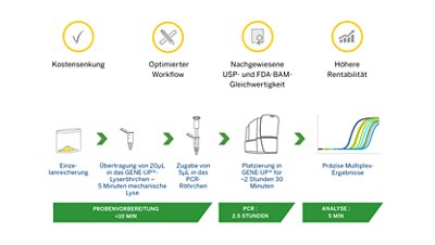 Mikrobielle Testung von Nutraceuticals