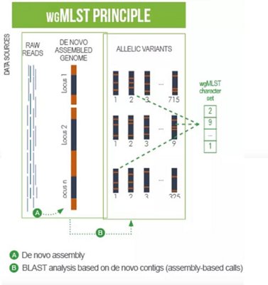 wgMLST Principle