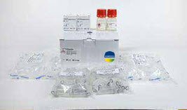 VITEK MS MYCOBACTERIUM/NOCARDIA KIT IVD