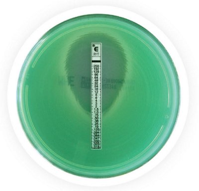 ETEST® PIPERACILLIN/TAZOBACTAM