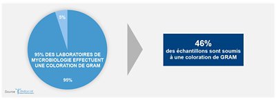 previ color gram graphics_FR