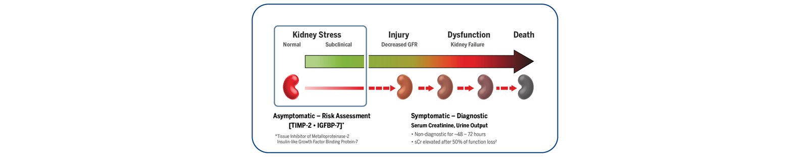 Illustration of Kidney stress progressing