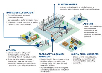 Salmonella factory image