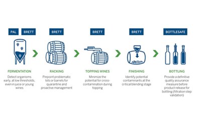 bioMérieux Wine Testing Process