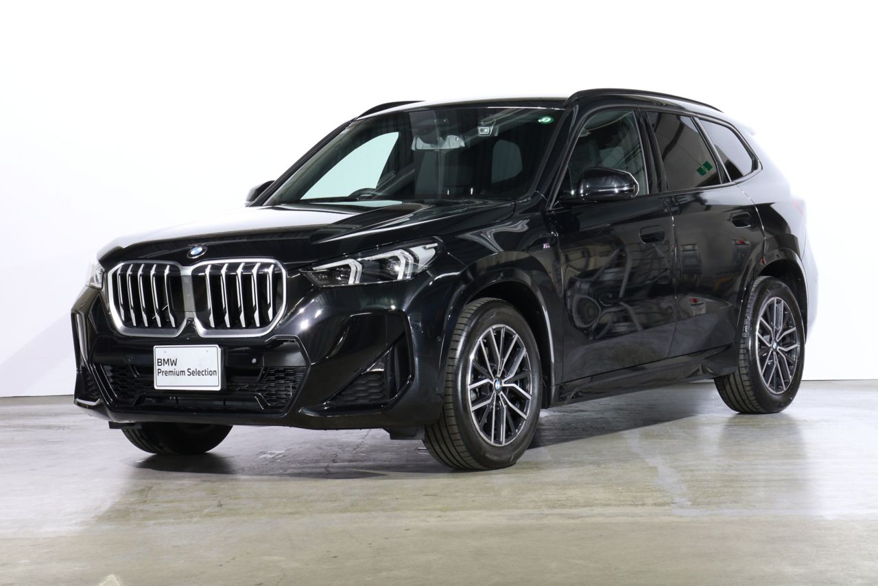 X1 sDrive18i M Sport