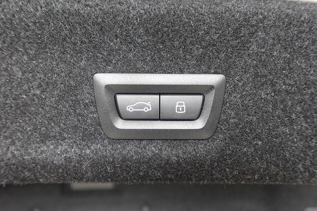 G20 320i Saloon LCI RHD MX