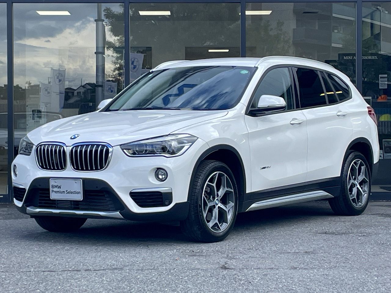 X1 xDrive 18d xLine