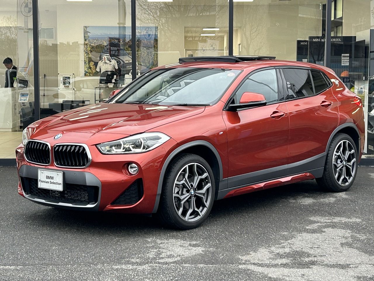 F39 X2 xDrive20i B48 2.0i SAC