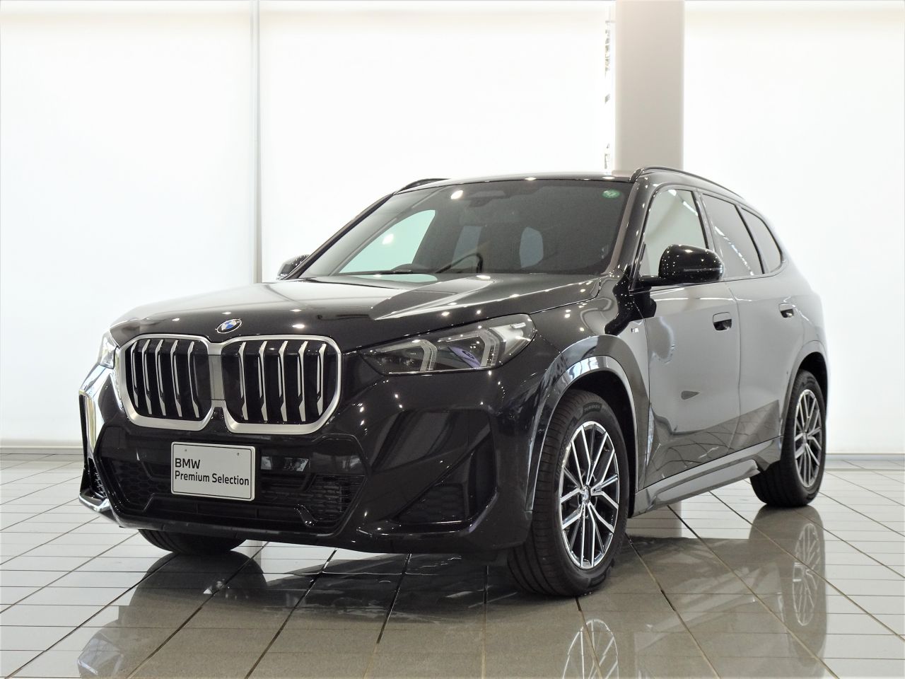 X1 xDrive20i M Sport