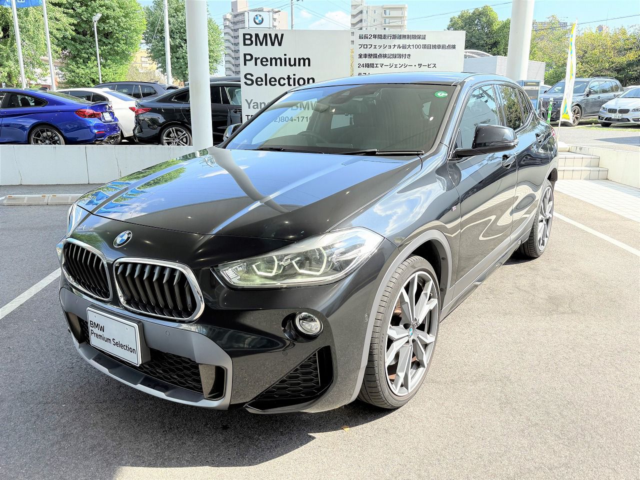 F39 X2 xDrive20i B48 2.0i SAC