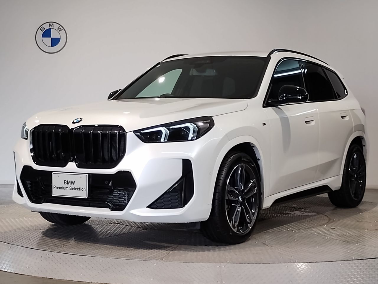 X1 xDrive20i M Sport