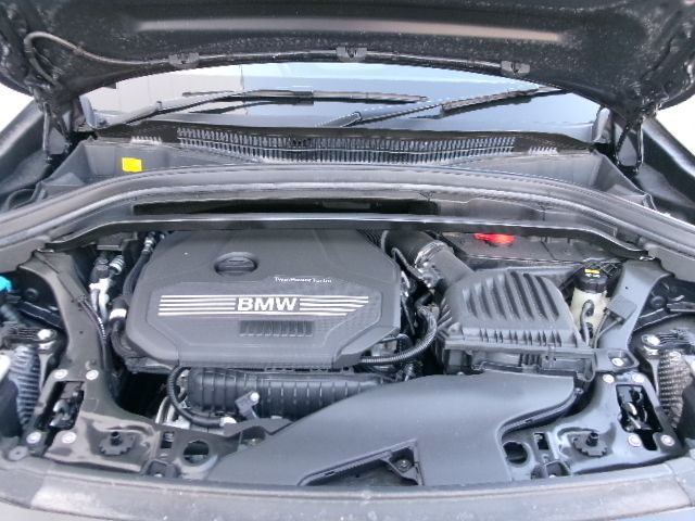 F39 X2 sDrive18i B38 1.5i SAC