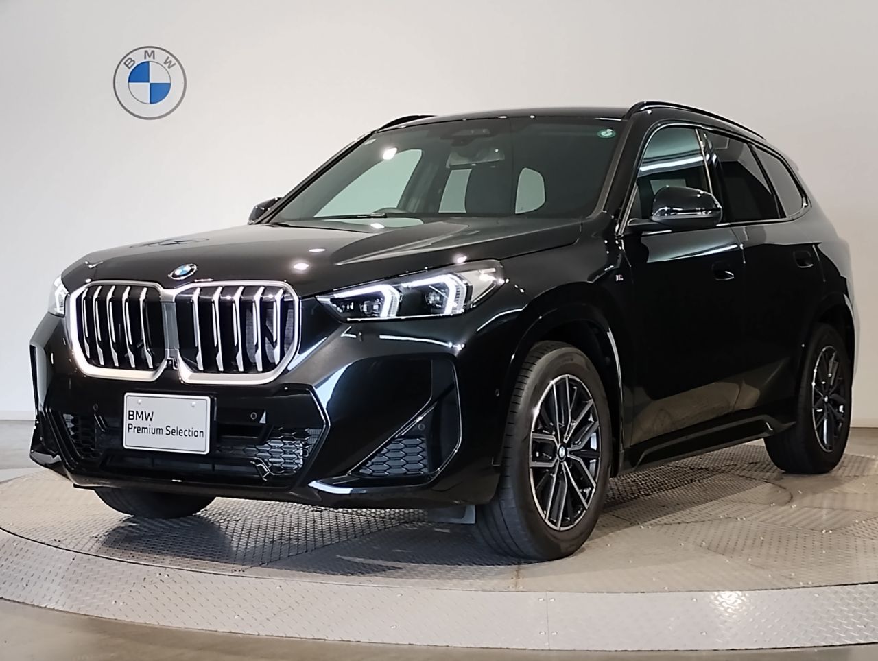 X1 sDrive18i M Sport