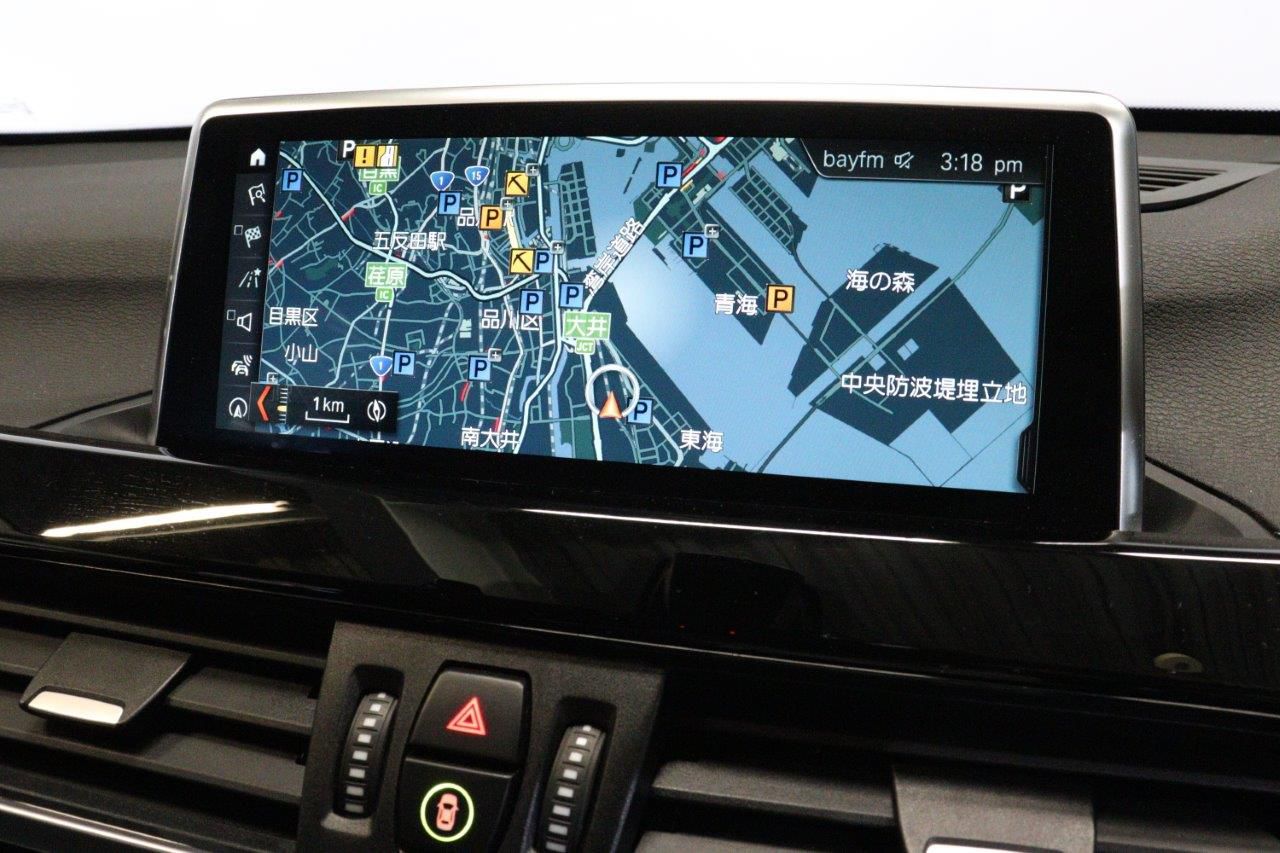 F48 X1 xDrive20i B48 2.0i