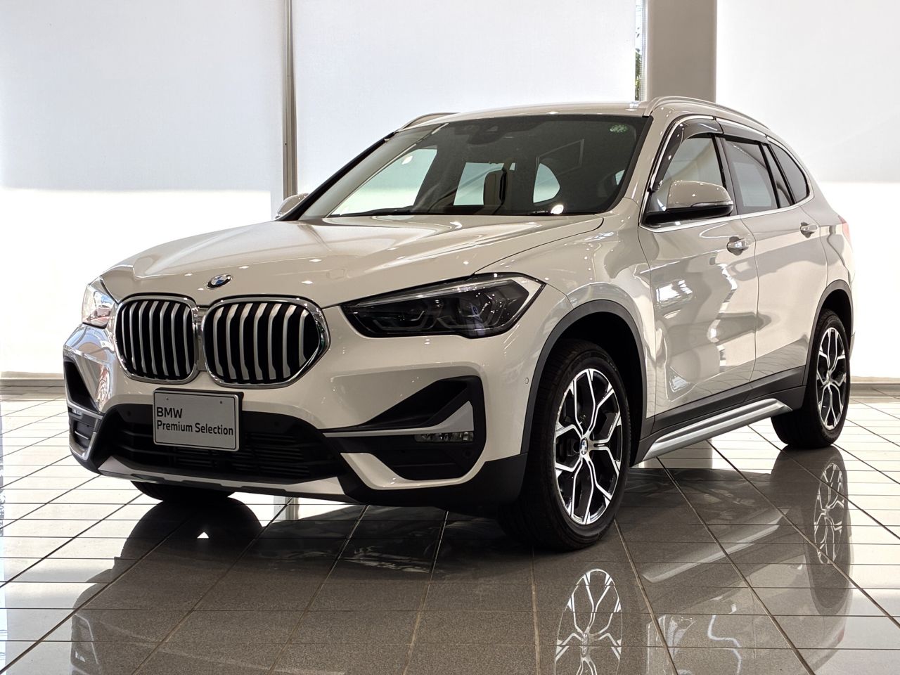 X1 xDrive 18d xLine