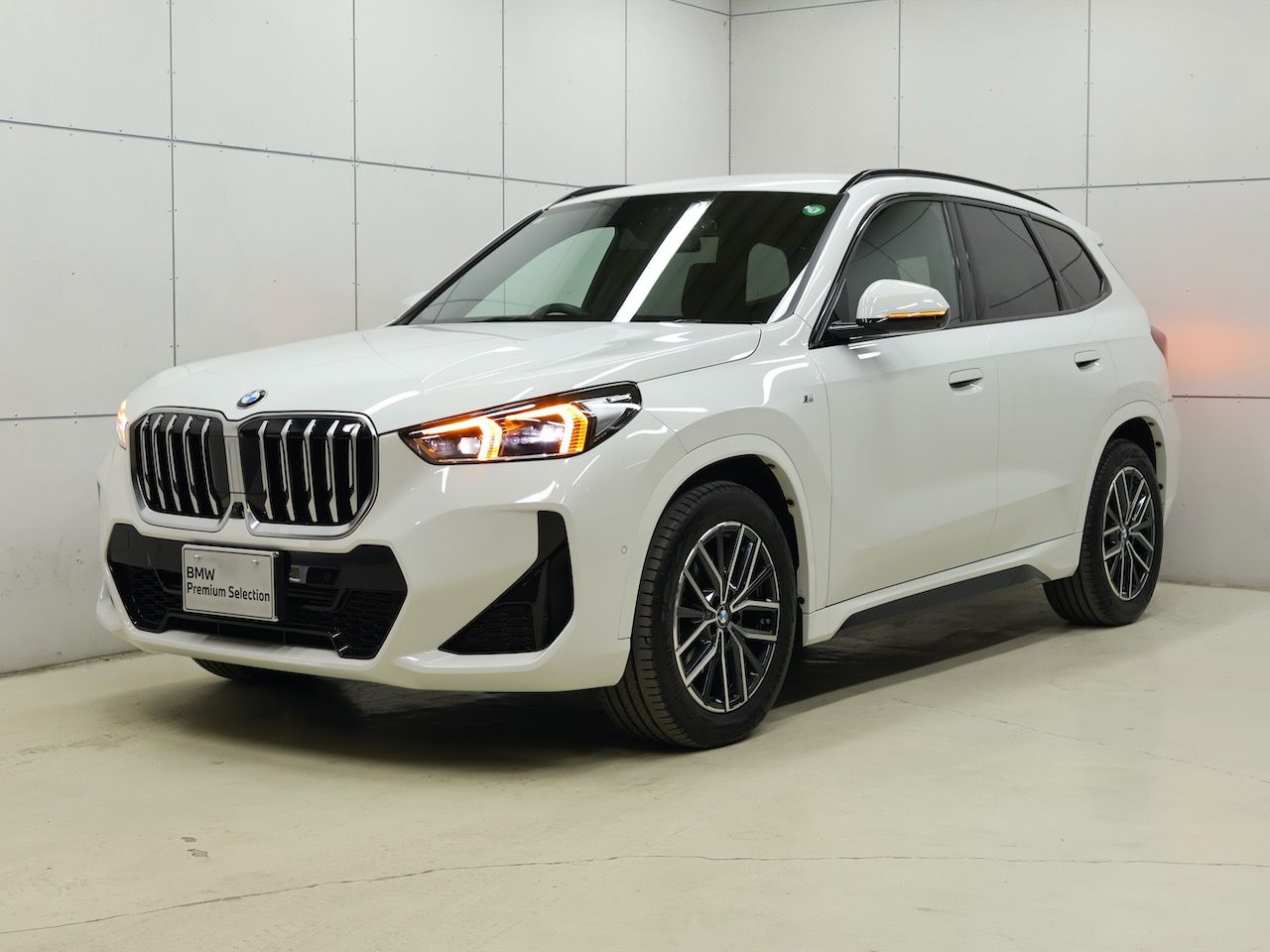 X1 xDrive20i M Sport