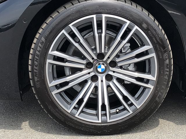 G21 318i Touring