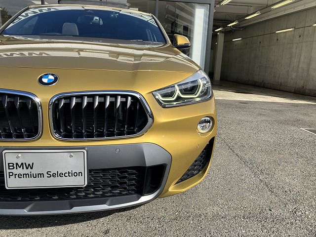 F39 X2 xDrive20i B48 2.0i SAC