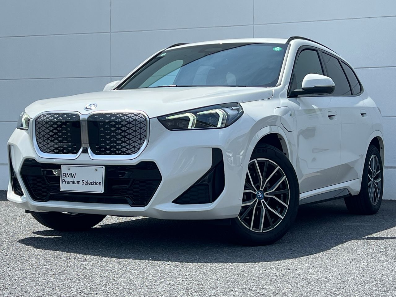 iX1 eDrive20