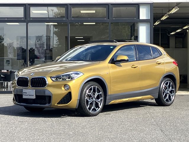 X2 xDrive20i M Sport X
