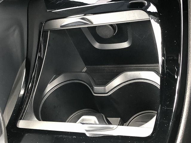 F48 X1 xDrive20i B48 2.0i