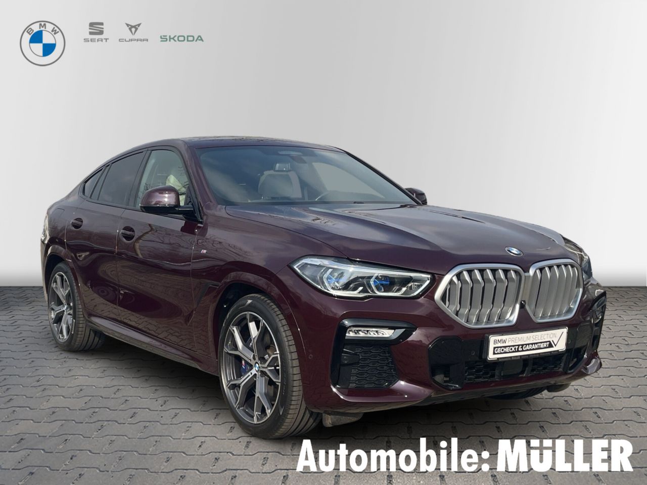 BMW X6
