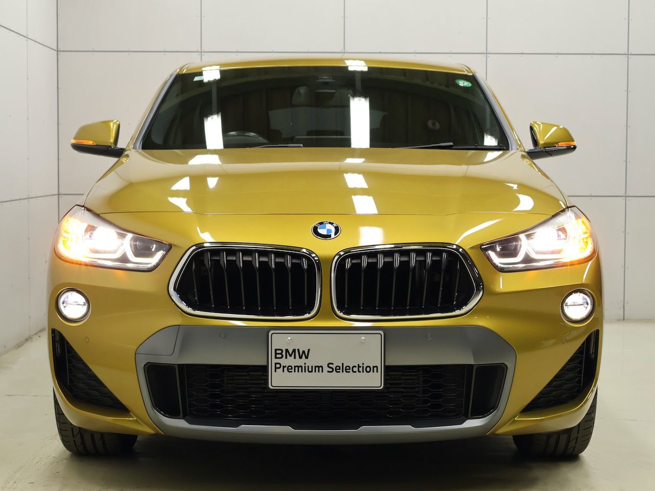 F39 X2 xDrive18d SAC B47 2.0d