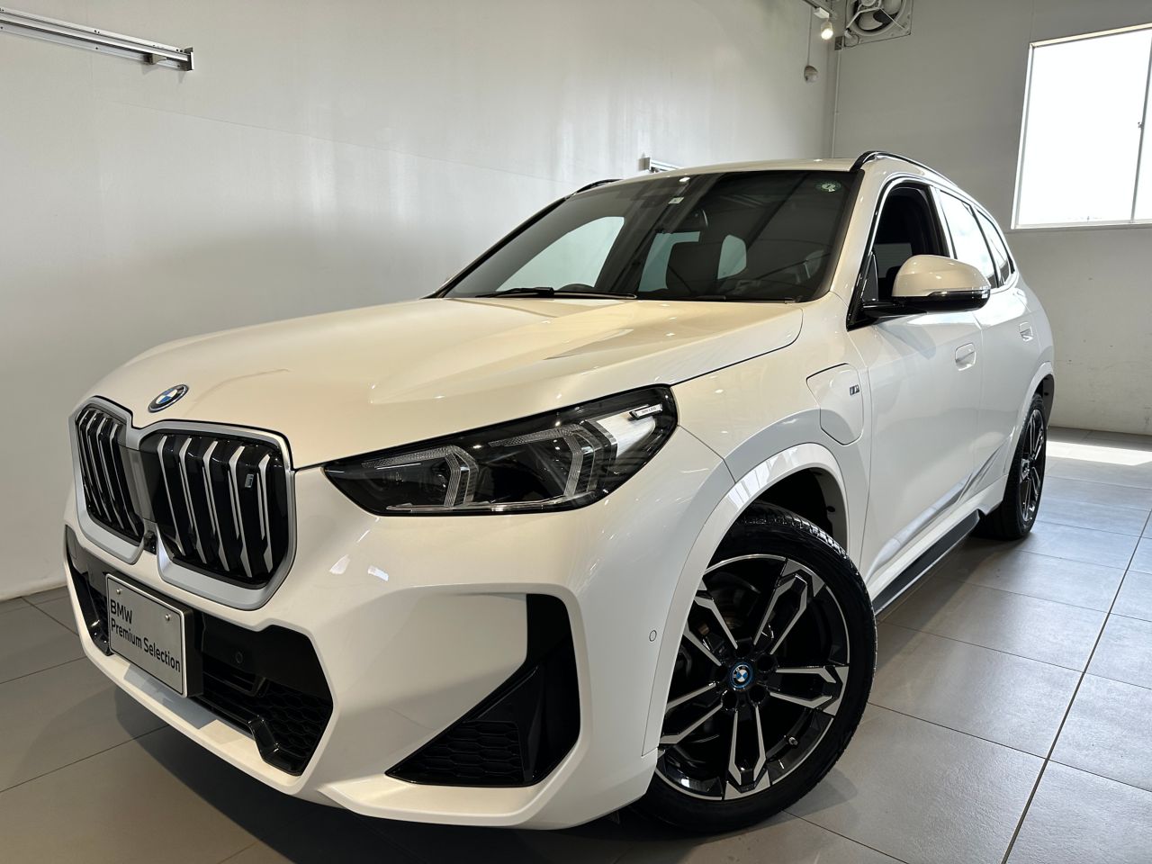 iX1 xDrive30 M Sport