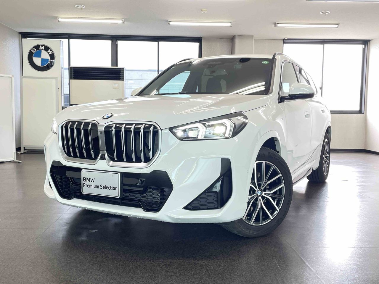 X1 sDrive18i M Sport