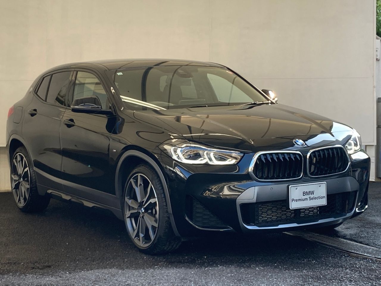 F39 X2 xDrive20d B47 2.0d