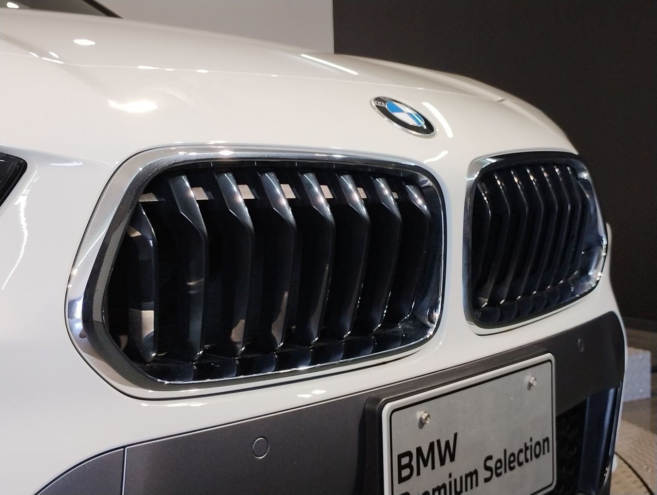 F39 X2 xDrive20d B47 2.0d
