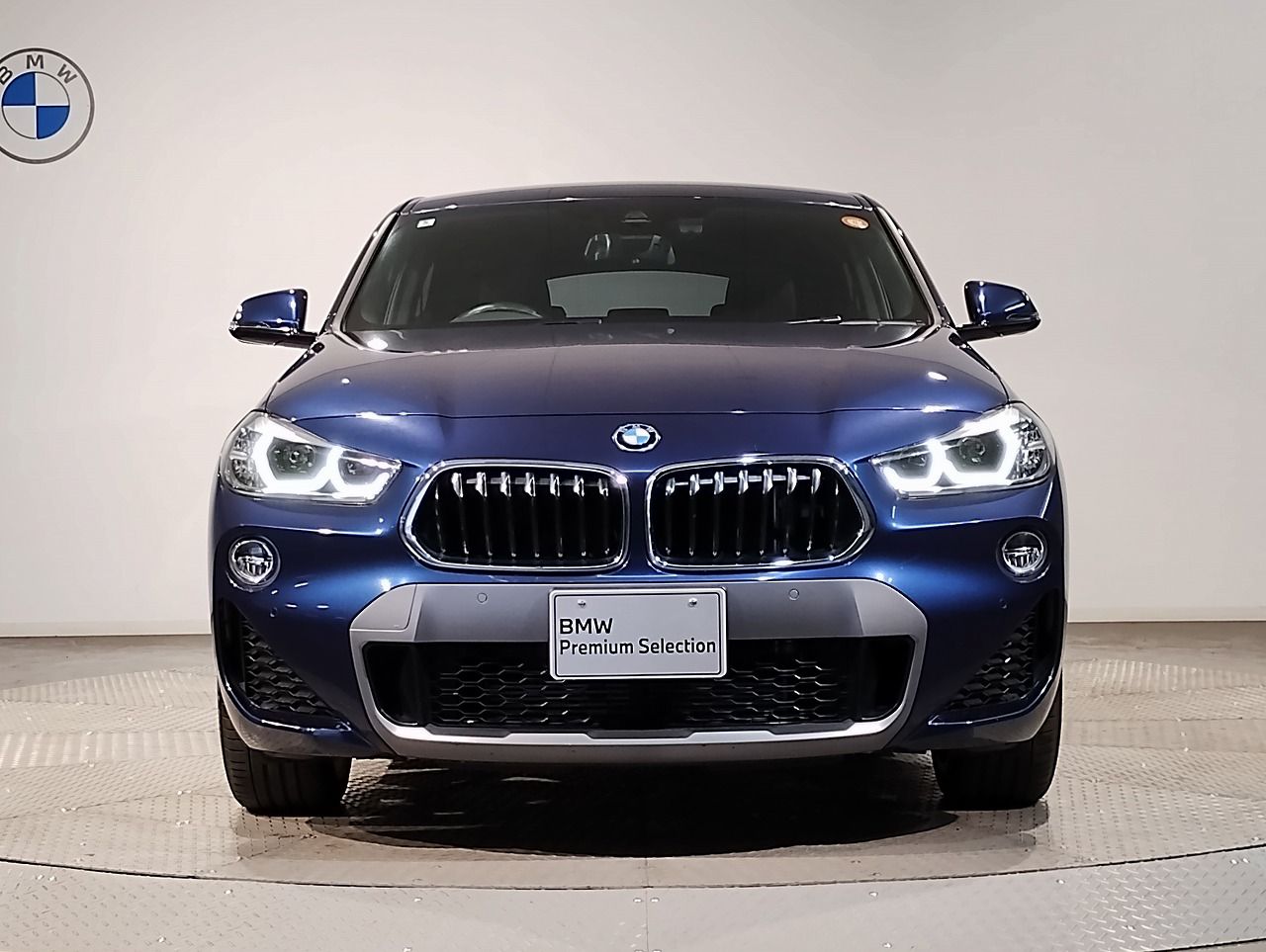 F39 X2 xDrive20i B48 2.0i SAC