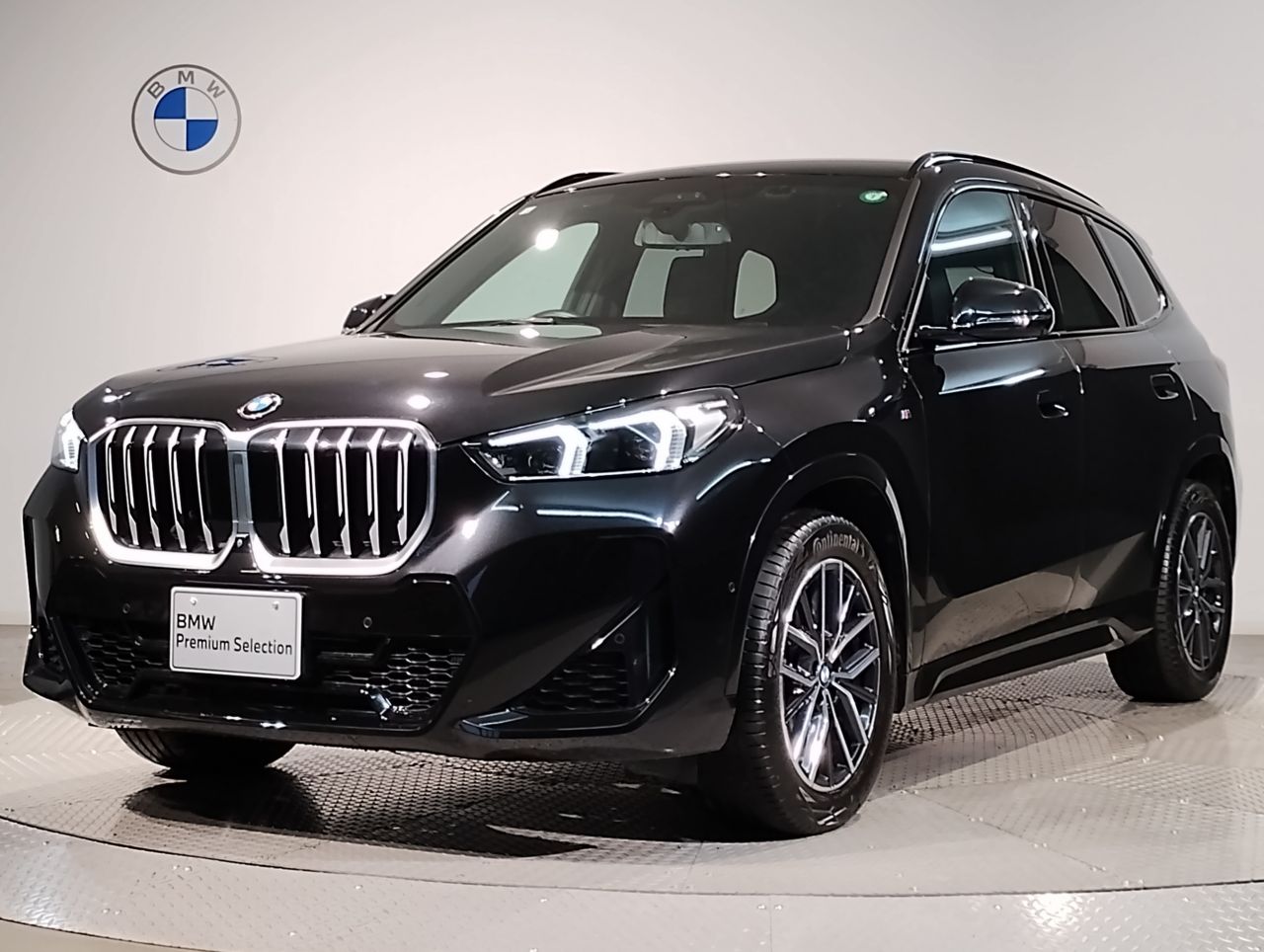 X1 xDrive20i M Sport