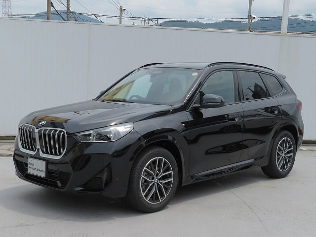 X1 sDrive18i M Sport