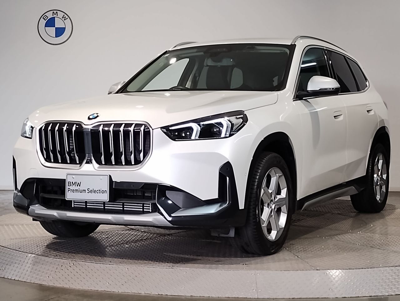 X1 xDrive20d xLine