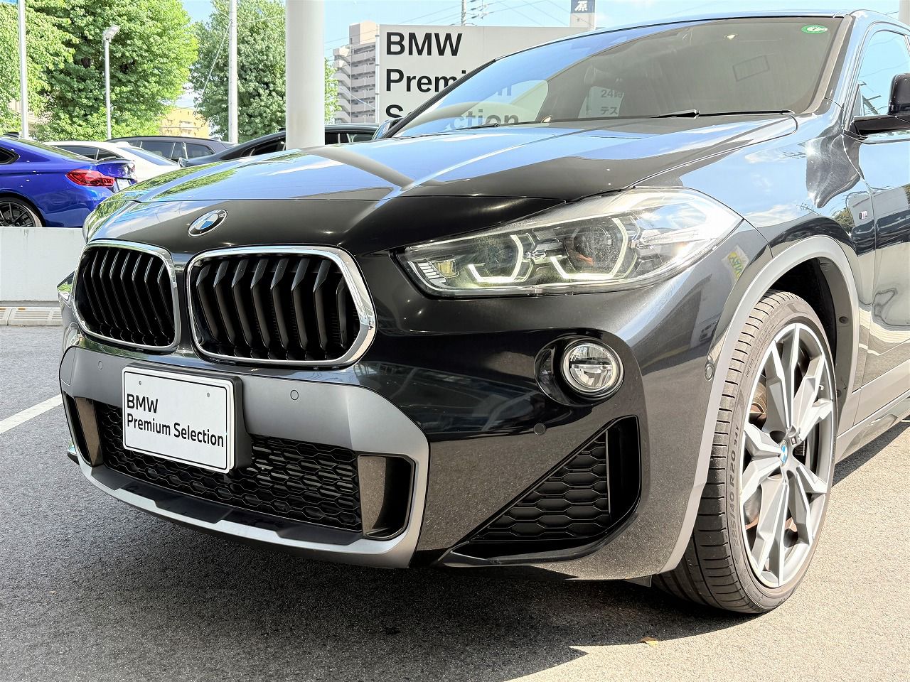 F39 X2 xDrive20i B48 2.0i SAC