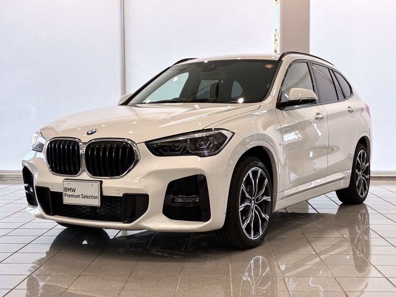 X1 xDrive 18d M Sport