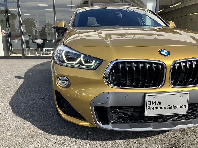 F39 X2 xDrive20i B48 2.0i SAC