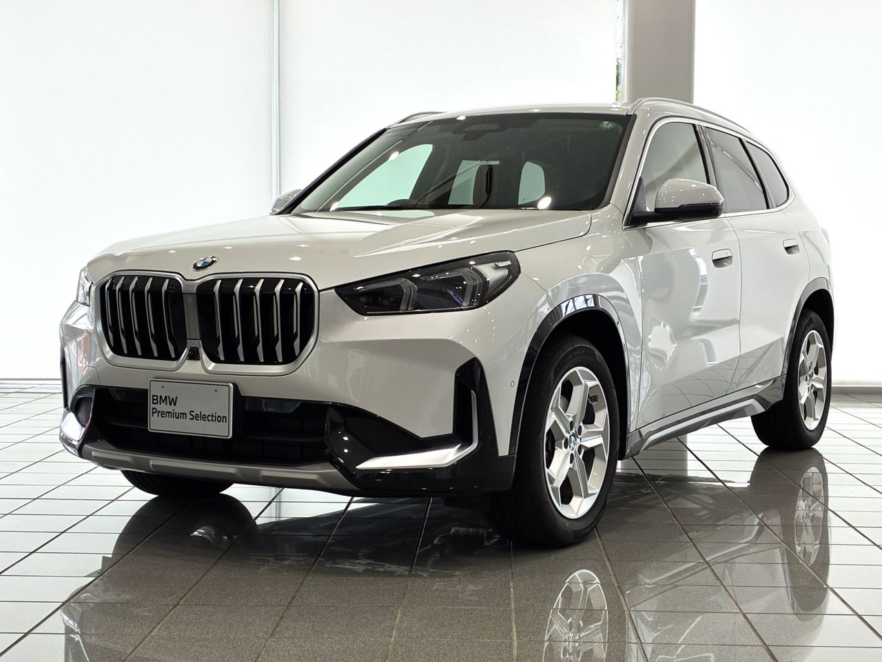 X1 xDrive20d xLine