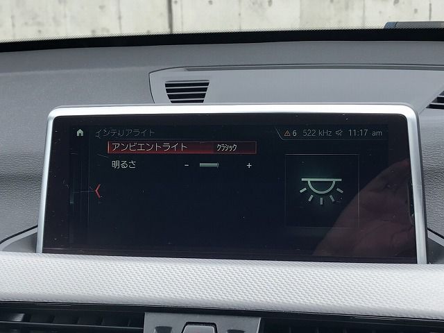 F48 X1 xDrive20i B48 2.0i