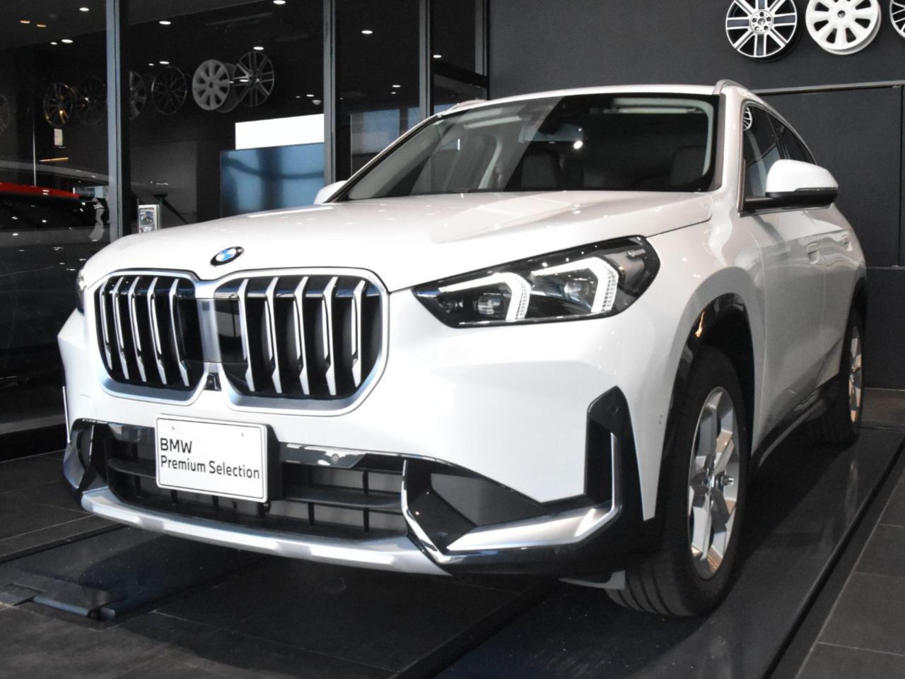 X1 xDrive20d xLine