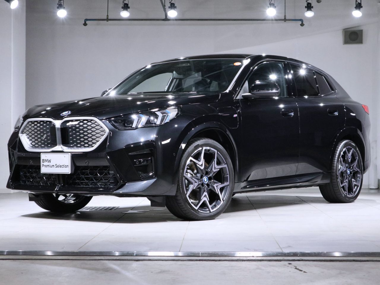 iX2 xDrive30 M Sport