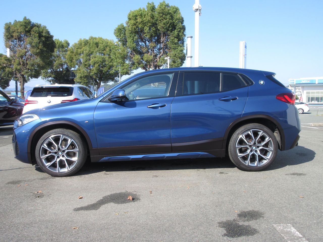 F39 X2 xDrive20d B47 2.0d