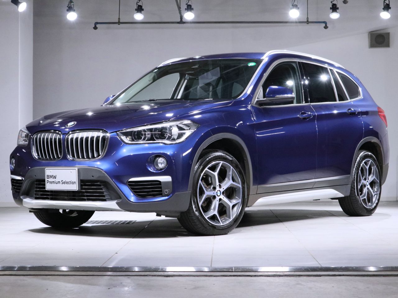 X1 xDrive 18d xLine