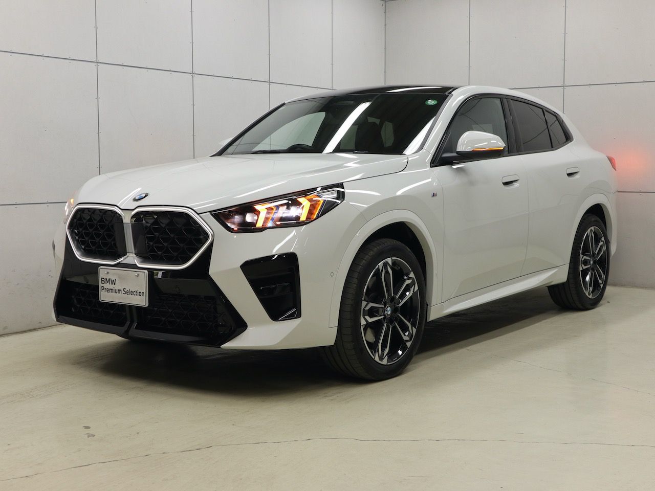 X2 xDrive20i M Sport