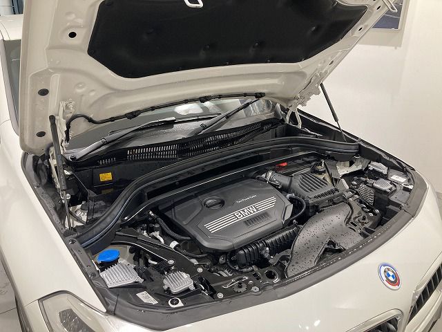 F39 X2 sDrive18i B38 1.5i SAC